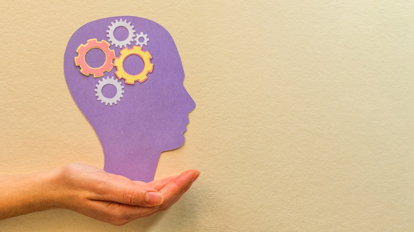 PsicoGest - Software para psicólogos